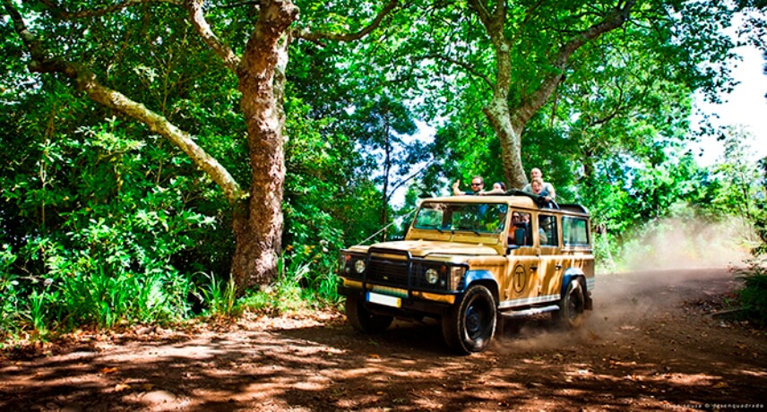 5 Reasons to Visit Madeira Islands after Coronavirus - Jeep tours in madeira island 5 Reasons to Visit Madeira Islands after Coronavirus - Jeep tours in madeira island